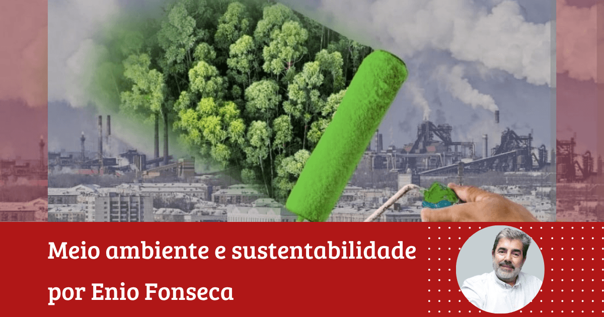 Enio Fonseca: ”A banalização da sustentabilidade. Reflexões olhando a COP 30”