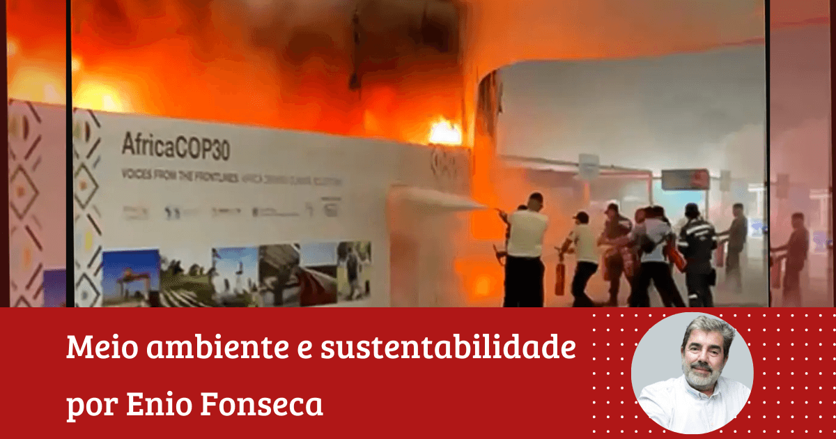 Enio Fonseca: ‘COP 30. Como foi percebida pela população’