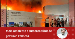 Enio Fonseca: ‘COP 30. Como foi percebida pela população’