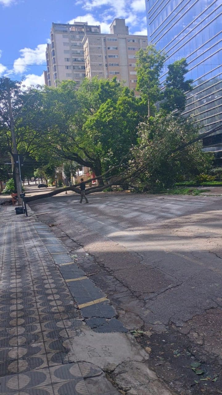 Alerta de vendaval atinge mais de 200 cidades de Minas Gerais