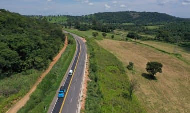 Homem mata companheira e tira a própria vida na BR-381