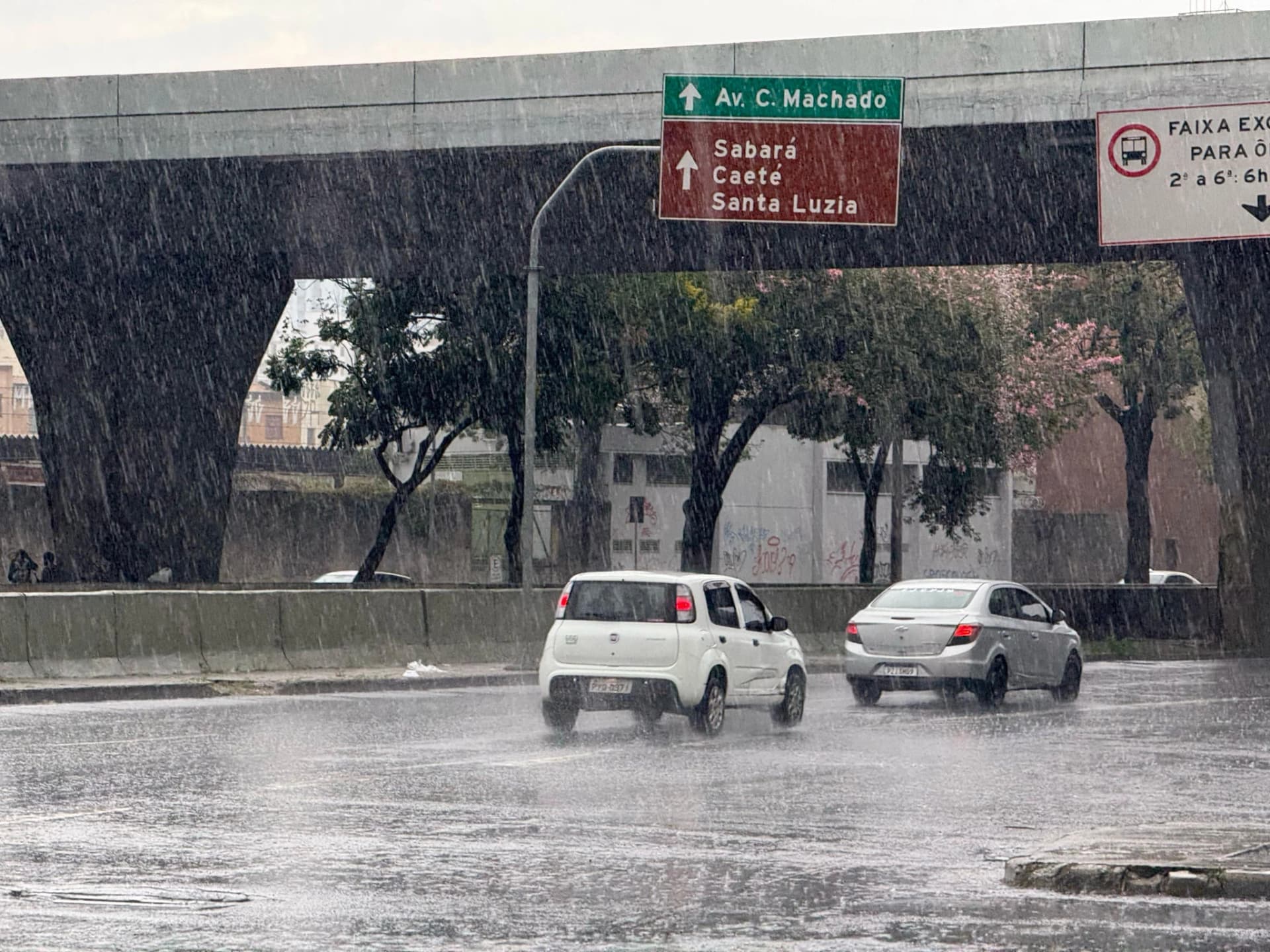 Chuvas acima da média já atingem a maioria das regionais de Belo Horizonte