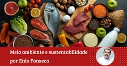 Enio Fonseca: “Pirâmide alimentar: dois pra lá, dois pra cá”
