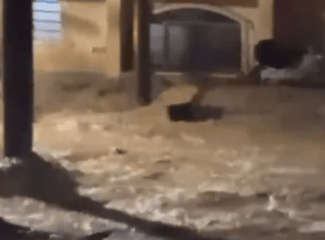 Foto: Redes sociais/Reprodução