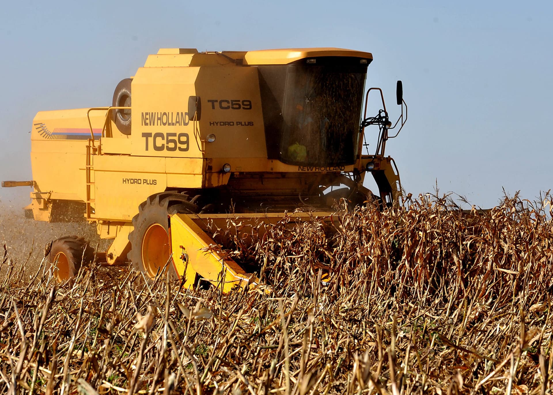 Foto: Wikimedia Commons