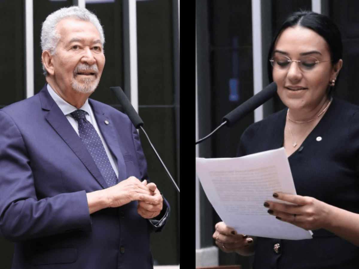 Foto: Câmara dos Deputados/Reprodução
