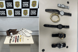 Foto: Polícia Civil/Reprodução