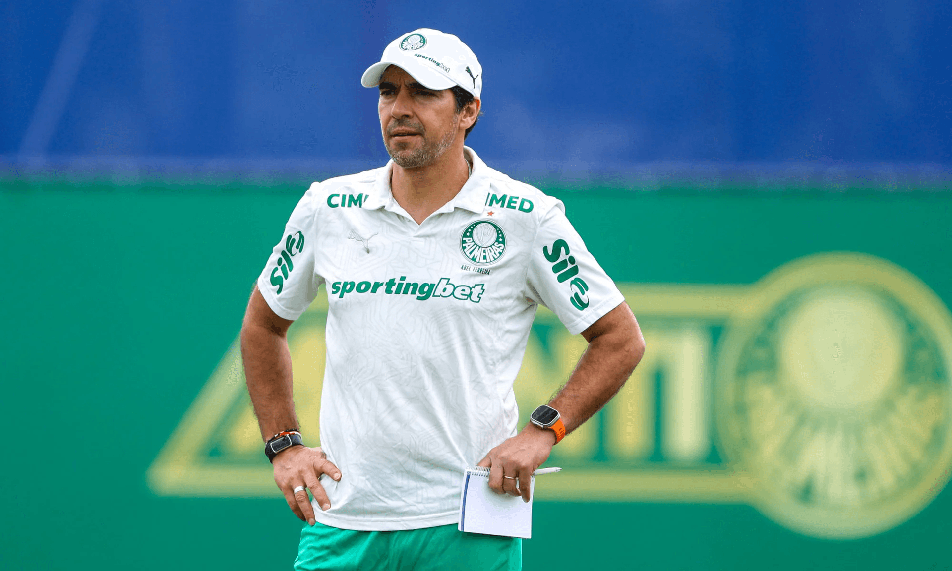Foto: Reprodução/Palmeiras