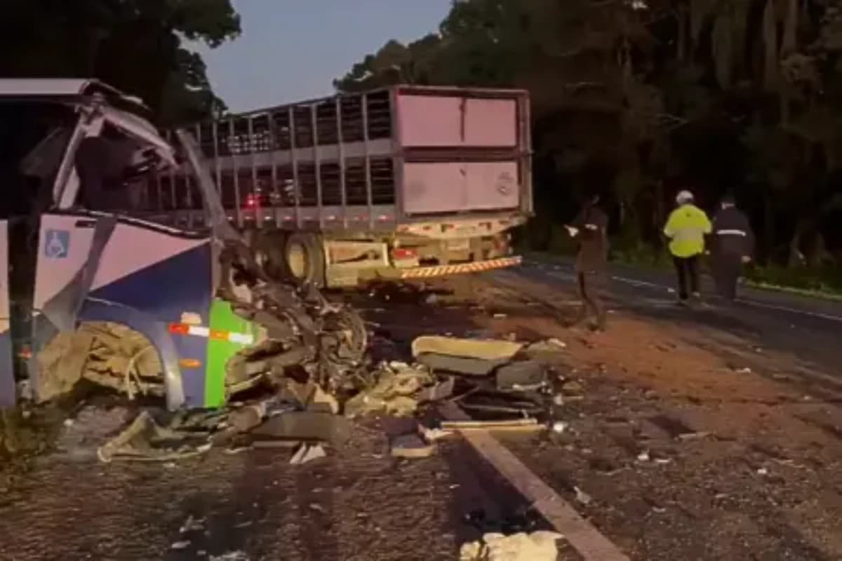 Acidente ocorreu na madrugada desta quarta-feira (19) • PRF