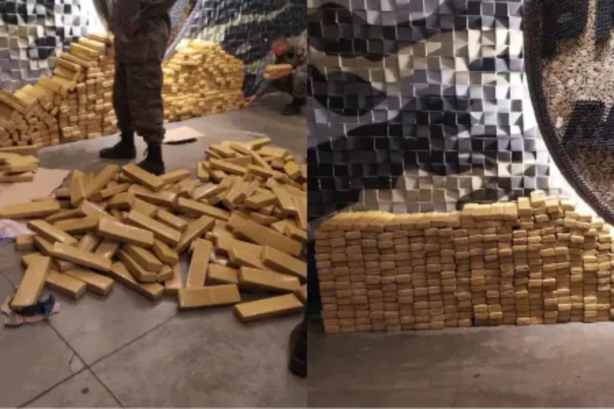 Quase uma tonelada de maconha foi apreendida nessa segunda-feira (21) • PMMG