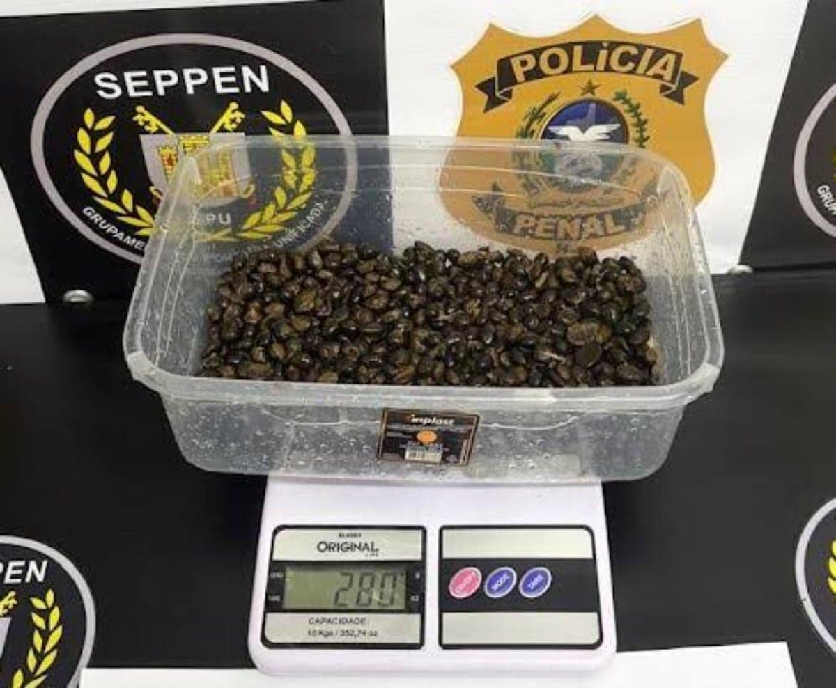 Drogas estavam escondidas em porções de feijão e carne - Reprodução/Polícia Penal